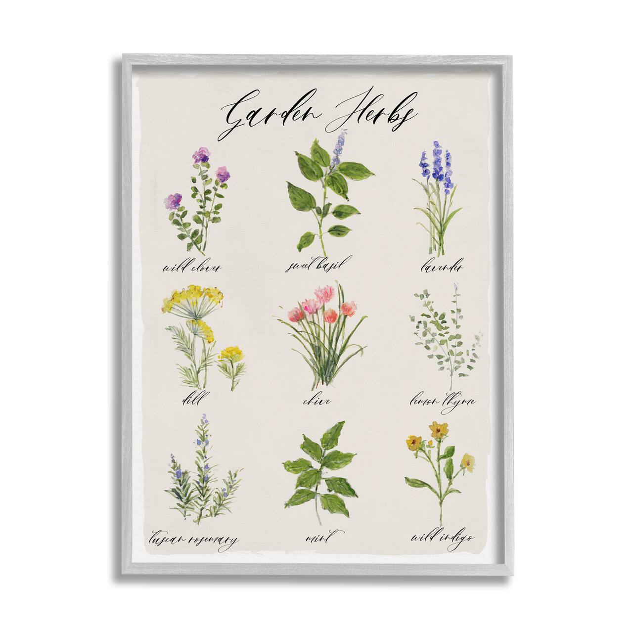 Stupell Industries Garden Herb Illustrated Chart Natural Kitchen Seasoning Framed Wall Art